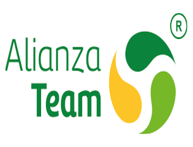 Logo with green and yellow abstract shapes and text 'lianza Team'.